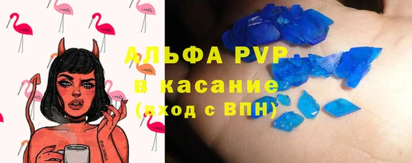 PSILOCYBIN Рославль