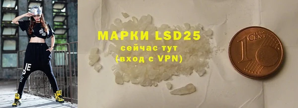 PSILOCYBIN Рославль
