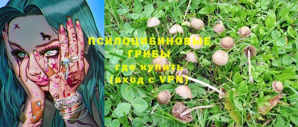 a pvp Россошь
