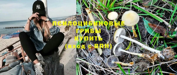PSILOCYBIN Рославль